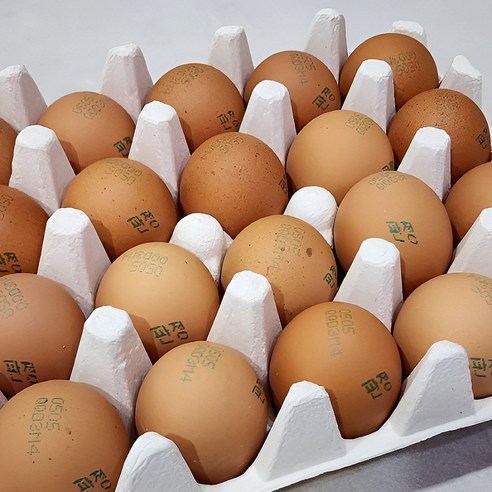 [HACCP/무항생제] +등급 판정 계란 특란 선별 달걀 영양란, 1개, 60구