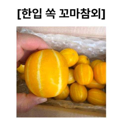 성주 꿀참외 산지직송 달콤한 꼬마참외 2kg/ 3kg /5kg, 1박스, 꼬마과 5kg