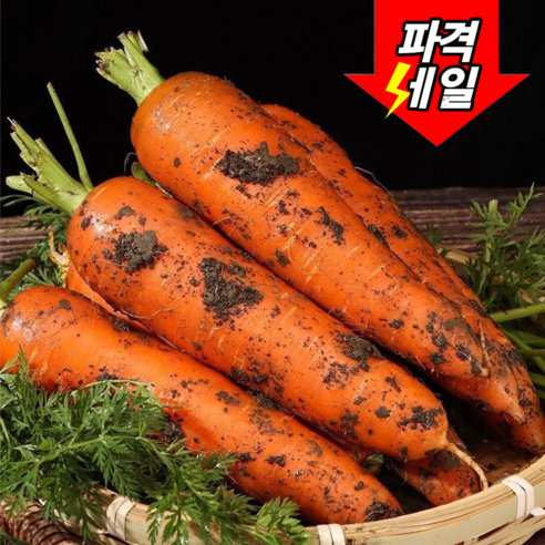 [딱하루초특가] 100박스한정수량 산지직송 아삭달콤 제주당근, 1박스, 10kg