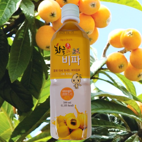 황금과비파 4배농축주스 500ml 1병 2병 3병 20병 선물용 비타민주스, 500ml, 6개