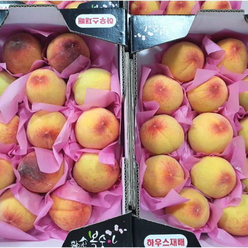 [2026년 첫 판매] 당일수확 산지직송 경북 하우스 제철 털복숭아, 1박스, 1kg(로얄과)