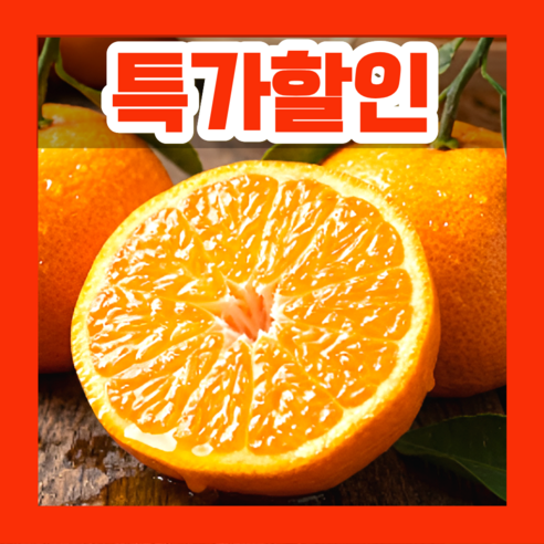 [1일50박스한정] 고당도 카라향 과즙폭발 산지직송