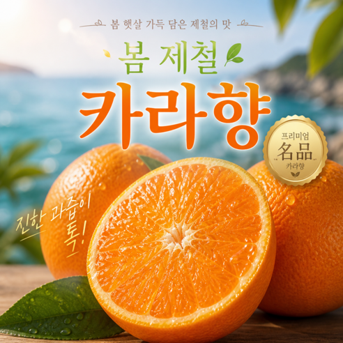 [30box한정출고]최저가도전 극가성비 진한과즙 가정용 카라향, 1박스, 10kg