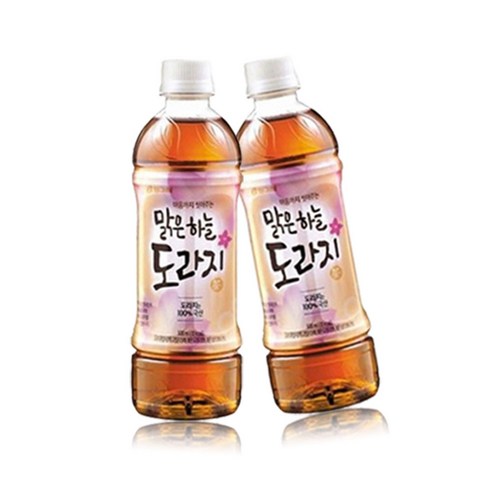 빙그레 맑은하늘 도라지차 340ml x 40개 음료수, 340ml, 40개