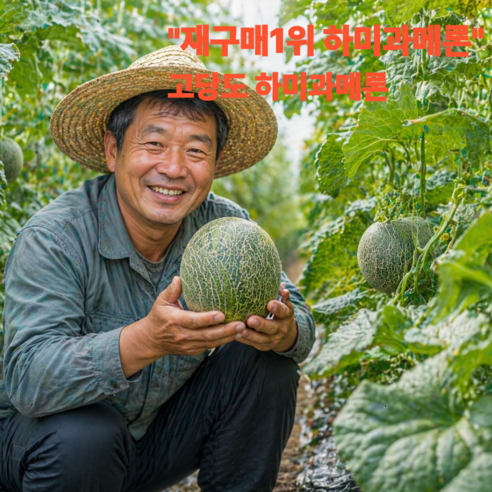 [하루20박스한정] 초특가 하미과메론 특품
