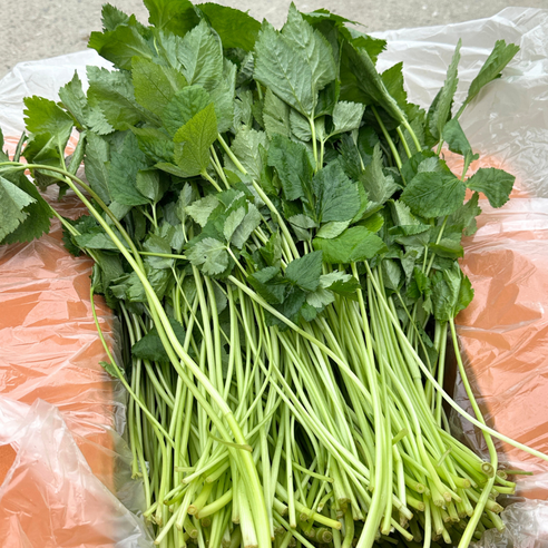 대아프레시 야채 아저씨네 국내산 산지직송 신선 향긋한 참나물 300g 500g 1kg 2kg 4kg, 1박스, 2kg