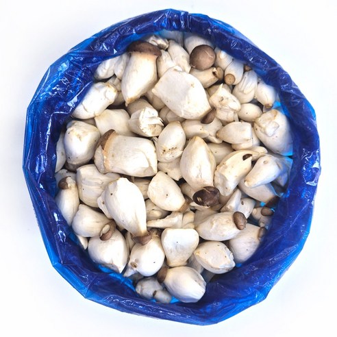 클릭마켓 국내산 새송이 못난이 미니 새송이버섯, 1개, 2kg