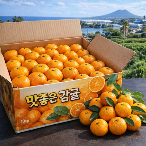 [산지직송]제주 감귤 고당도 하우스 감귤 카라향 16brix