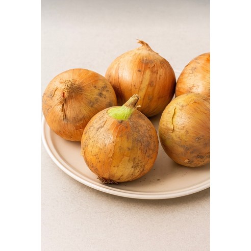 국내산 양파 산지직송 3kg 5kg 10kg, 1개, 3kg 특대