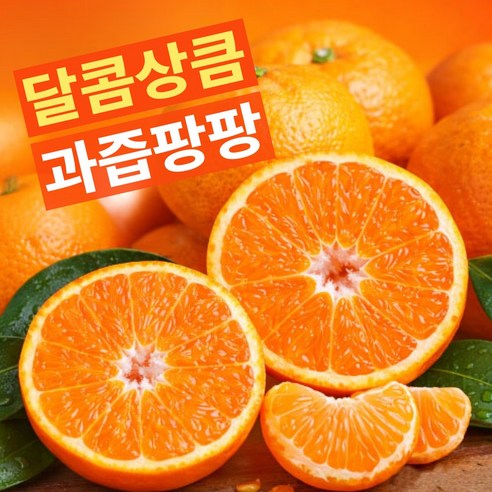 [타임특가] 고당도 캘리포니아 감귤 만다린
