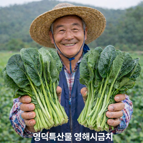 [리초이샵] 영덕 특산물 영해시금치 신선한 포항 영해초 농가직송 시금치 1단, 2단, 3단, 4단, 1개, 600g