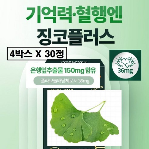 징코 은행잎추출물 플러스 빌로바 빌리프 150mg 맥스 플라보놀 배당체 36mg 기억력 혈행엔 혈앵 케어 혈행개선 브레인 메모리 프리미엄 식약청인증 식약처 인정 여성 남성 추천
