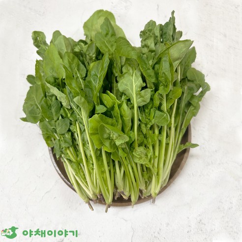 야채이야기 로케트루꼴라 1kg (0.9~1kg) 아루굴라 로켓루꼴라, 1박스, 1kg