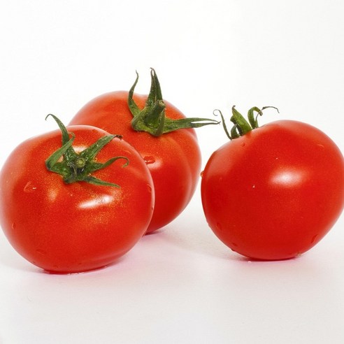 새벽청과 대추방울토마토 특품 1~3번과, 1개, 1.5kg