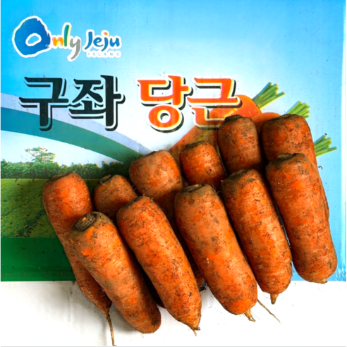 [산지직송] 2025 햇당근 당일출고 제주 구좌당근