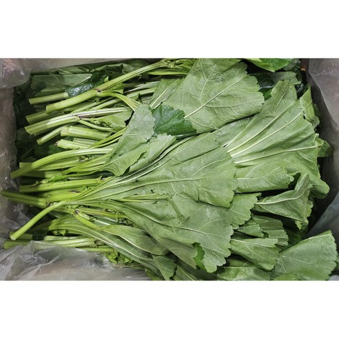 아욱4kg, 1박스, 4kg