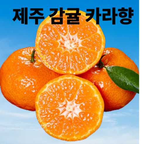 [재구매1등] S급 새콤달콤 카라향 감귤
