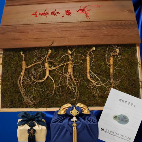 창무 강원도 횡성 야생 방치삼 자연산 산양삼 10년~20년 산삼, 5개, 13g