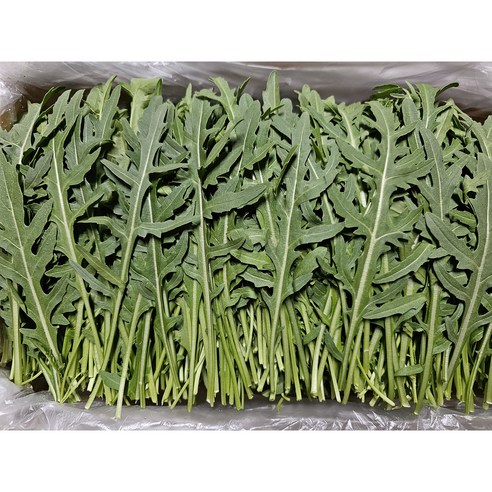 [하루채소] 와일드루꼴라 500g,1kg 가락시장직배송, 1kg, 1개