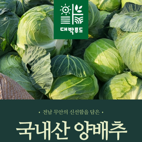[대박푸드] 국내산 무안 황토 껍질없는 양배추 (1kg, 2kg ,3kg , 6kg) 이내, 3kg, 1박스, 3kg 이내 발송
