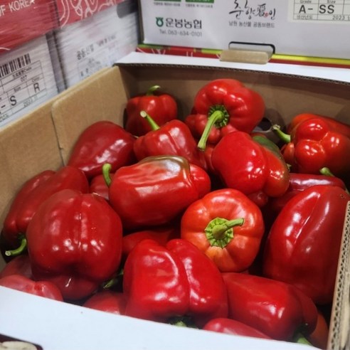 노란 주황 빨간 파프리카 못난이 1kg 2kg [원산지:국산], 1개