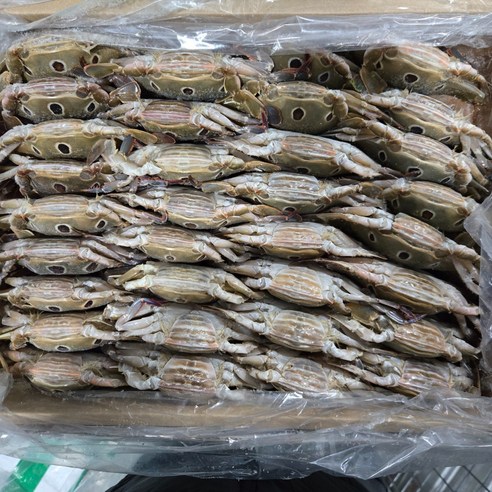 삼점게 냉동 꽃게 통게(라운드) 100-150, 150-200 간장게장용 업소용 6kg, 1박스, 암게 100-150(라운드, 통게)