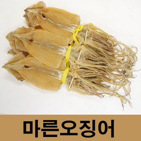건어물광장 동해안 마른오징어