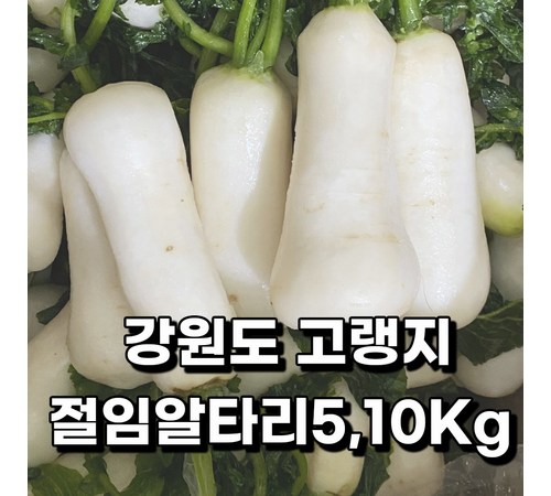 건강한 밥상을 위한 선택, 유기농 알타리무