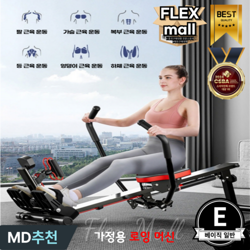 플렉스몰 로잉머신 가정용 홈트 저소음 유산소 노젓기 코어 실내 전신운동, E