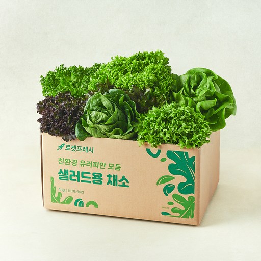 친환경 유러피안 모둠 샐러드용 채소