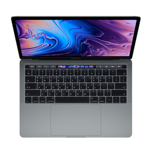 Apple 2018 맥북 프로 터치바 13.3, 스페이스 그레이, 코어i5 8세대, 인텔 Iris Plus 그래픽스 655, 512GB, 8GB
