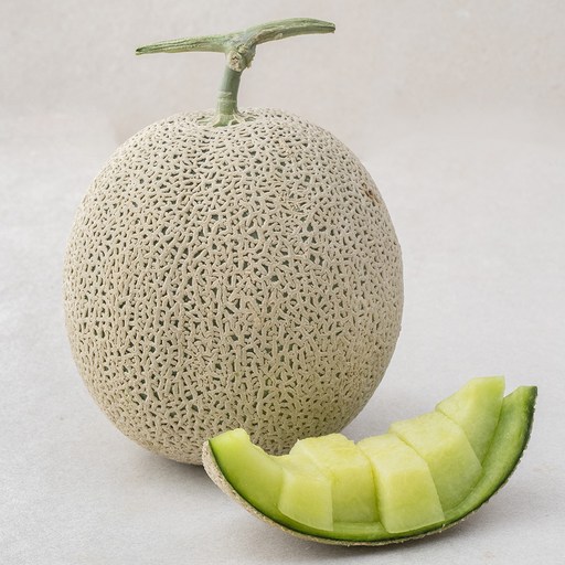 곡성 고당도 맘에쏙 멜론