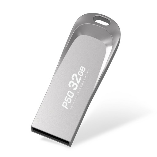 PLEIGO USB 메모리 P50