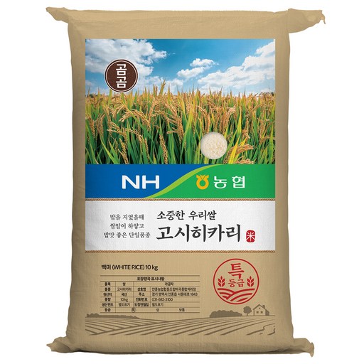 곰곰x농협 소중한 우리쌀 고시히카리