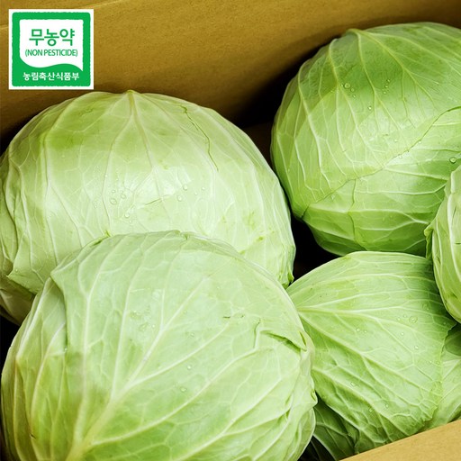 울팜 아삭 달달 국내산 친환경 양배추 제주 무안 밀양, 3kg, 1박스