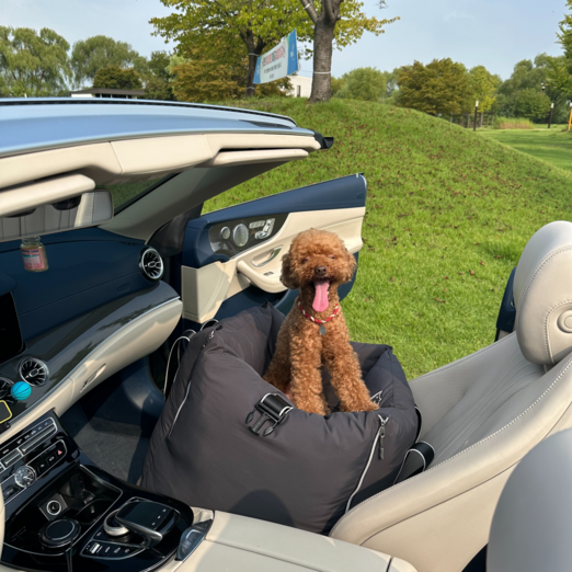 스윗테일 핸드메이드 강아지카시트 딥그레이 미디엄, 1개