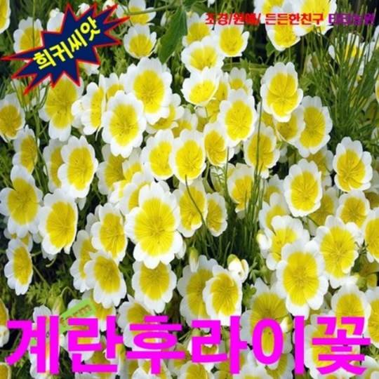 6dcc2d3d90472abd2c07d9ba3c404f3e3160c449baffc578ec05de14166e.jpg