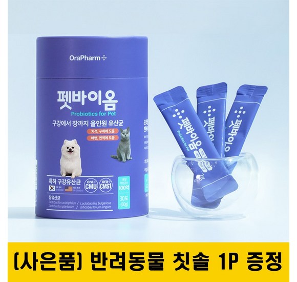 냥이 입냄새, 이제 걱정 끝!  고양이 구강 장 유산균 선택 가이드
