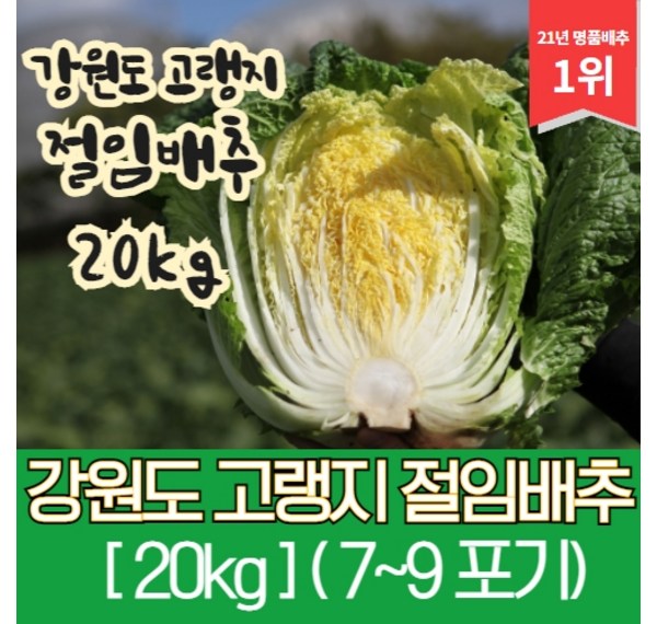 신선함 그대로! 산지직송 배추 선택 가이드: 맛과 신뢰를 드립니다.