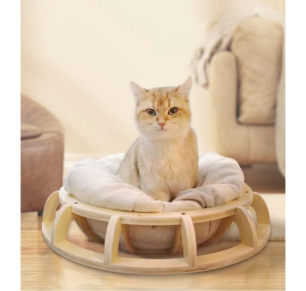 편안함과 스타일의 완벽 조화! 당신의 휴식을 책임질 최고의 해먹쿠션 추천