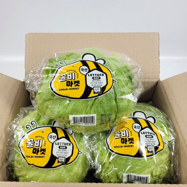 깨끗함과 편리함의 완벽 조화! 세척양상추: 샐러드부터 요리까지, 건강과 시간을 동시에 잡는 선택