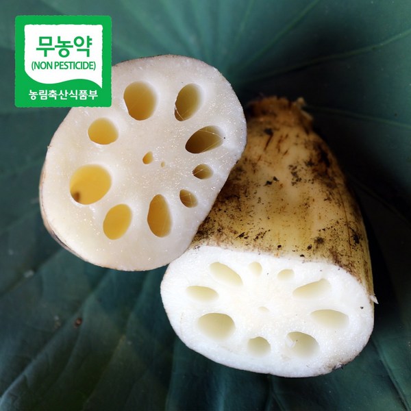 파지연근 15kg: 넉넉한 양으로 건강과 맛을 챙기세요!  가격 비교 & 최고의 선택 가이드