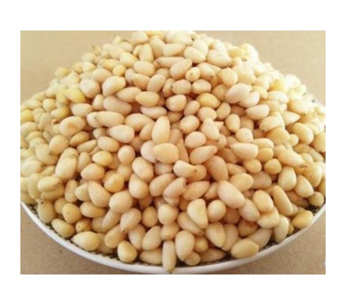 중국산 잣 가격 완벽 가이드: 최신 시세, 품질 비교, 구매 가이드까지!