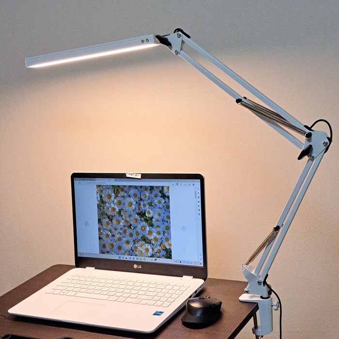 인터리더 LED 스탠드 책상 공부 독서등 엔틱 침대 조명, 클램프형 화이트