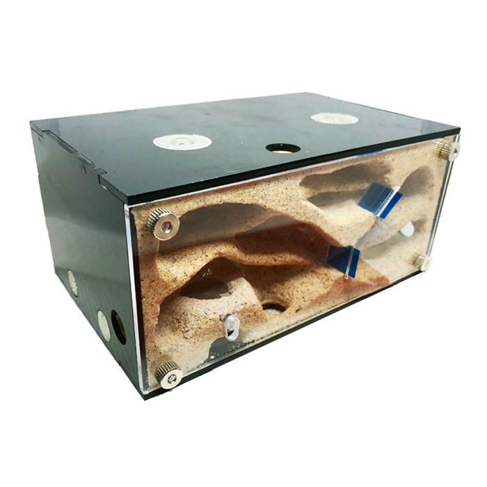 정하남 개미 사육장 아크릴 석고 아파트 여왕 개미키우기 앤트빌 개미집