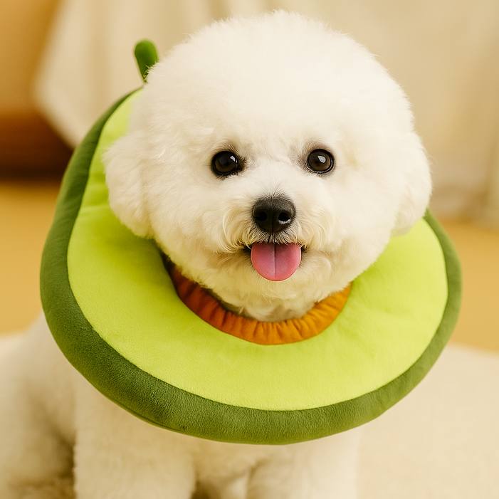 드림베이스 강아지 고양이 넥카라 수술 보호대 부드러운 솜쿠션, 아보카도, 1개