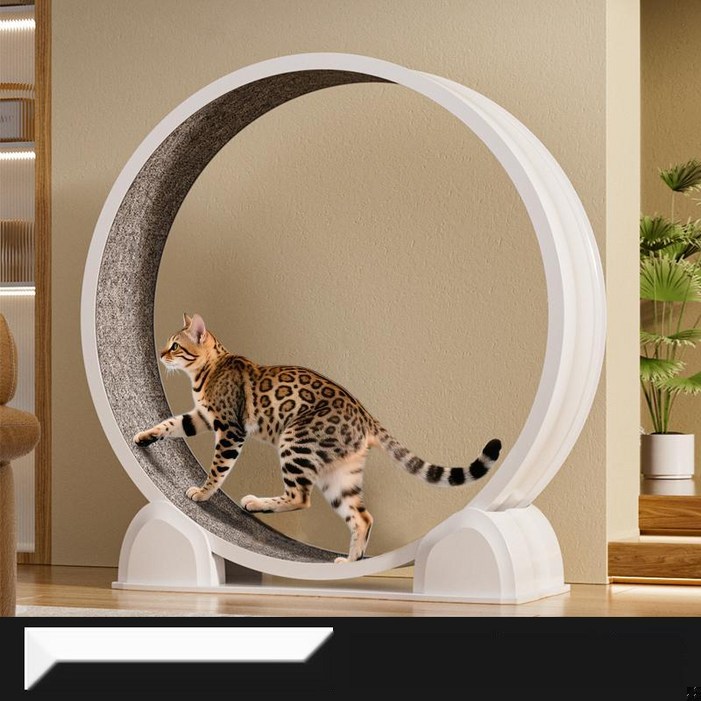 모던한 디자인 캣휠 무소음 고양이 런닝머신 뚱냥이 롤러 장난감