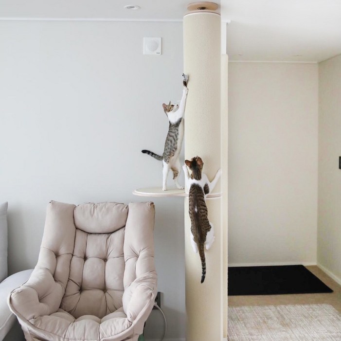 캣트럴파크 고양이 수직 스크래쳐 원목 캣타워 캣폴 본능적타워 2단 발판1개 226cm245cm