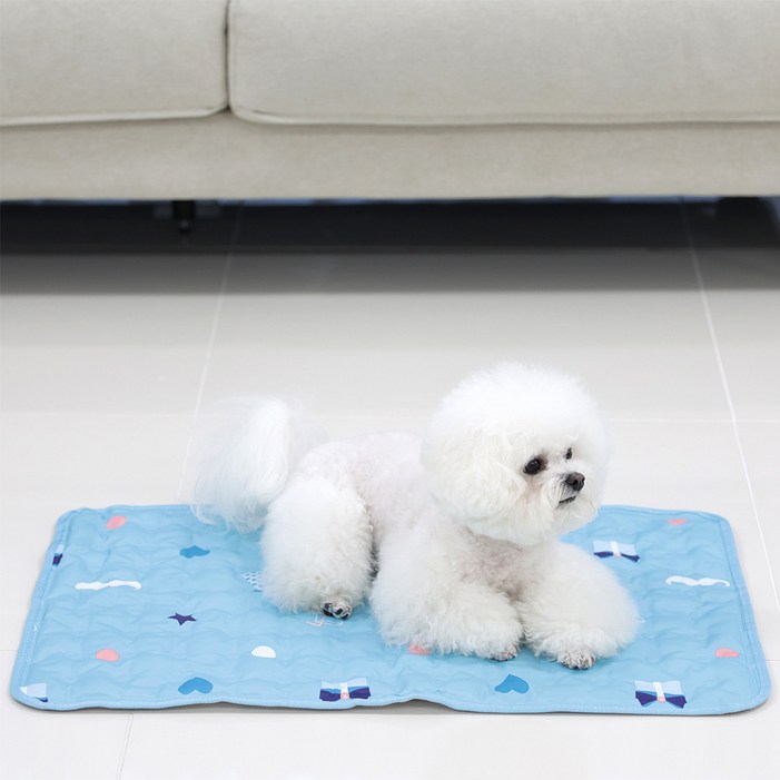 마이또 반려동물 러브 시리즈 쿨매트