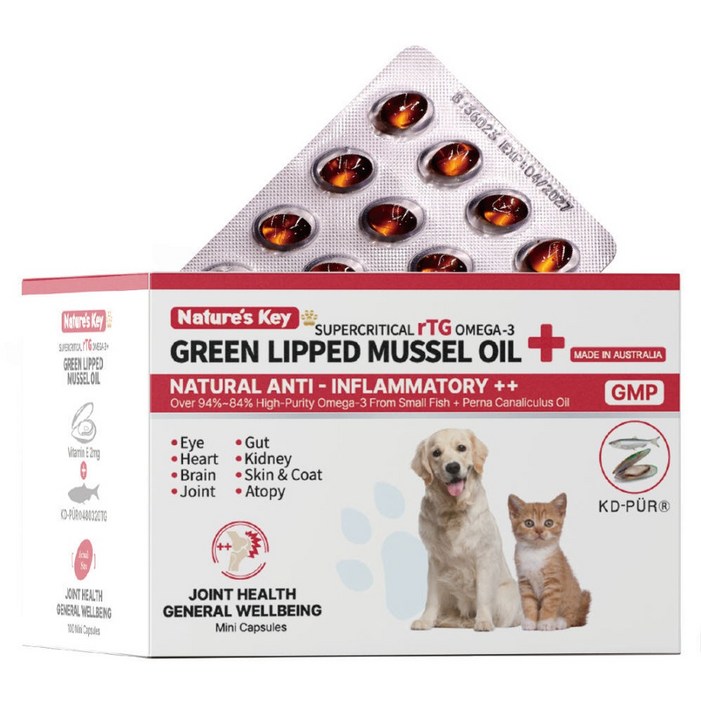 네이쳐스키 반려동물 관절 보조제 오메가 조인트  알티지 오메가3  초록입홍합오일  60캡슐, 1개, 뼈관절강화, 60정